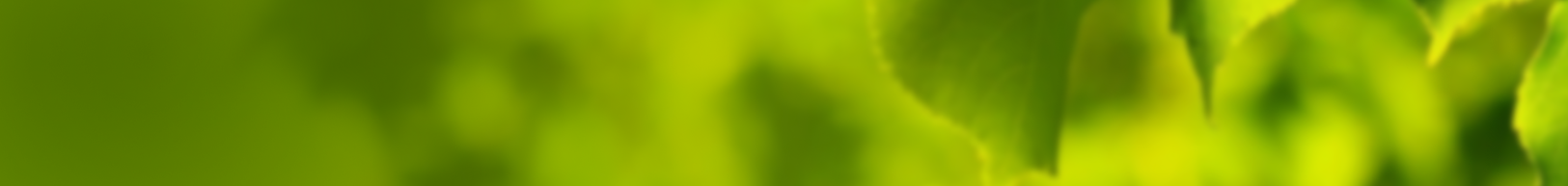 humle-kapital-header.png